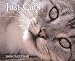 Book Just Cats Calendar: 2000