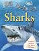 100 Facts Sharks (100 Facts) (100 Facts)
