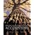 MP Financial and Managerial Accounting: The Basis for Business Decisions w/ My Mentor, Net Tutor, and OLC w/ PW