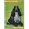 Our Dog Books