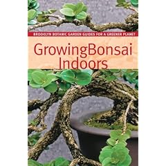 Growing Bonsai Indoors