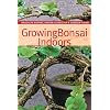 Growing Bonsai Indoors