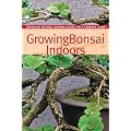 Growing Bonsai Indoors