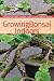 Growing Bonsai Indoors (Bbg Guides for a Greener Planet)