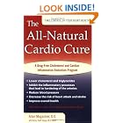 Click here to buy All Natural Cardio Cure by Allan Magaziner and Batya Swift Yasgur.
