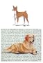 Basenji Glass Cutting Board
