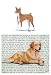 Basenji Glass Cutting Board