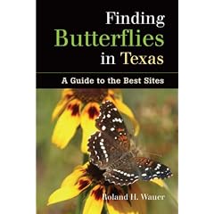 Finding Butterflies in Texas: A Guide to the Best Sites