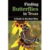 Finding Butterflies in Texas: A Guide to the Best Sites