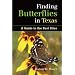 Finding Butterflies in Texas: A Guide to the Best Sites