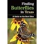 Finding Butterflies in Texas: A Guide to the Best Sites