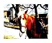 Pony Ride? An Equestrian Question Children Photographic Poster Print by Darlene Navor...