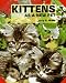 Book Kittens As a New Pet (As a New Pet Series)