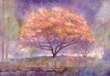 イメージ: 2006カレンダー「樹景」