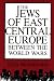 The Jews of East Central Europe between the World Wars (A Midland Book)