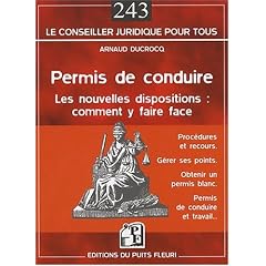 Permis de Conduire - les Nouvelles Dispositions, Comment Y Faire Face