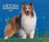 For the Love of Shetland Sheepdogs 2008 Calendar