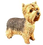 \"YORKIE