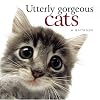Utterly Gorgeous Cats (Helen Exley Giftbooks)