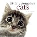 Utterly Gorgeous Cats (Helen Exley Giftbooks)