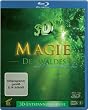 Magie des Waldes - mit Panfl�tenkl�ngen (3D) [Blu-ray]