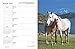 What Horses Teach Us 2017 Engagement Calendar
