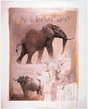 Elephant and Water Buffalo - Art Poster - 16 x 20