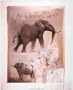 Elephant and Water Buffalo - Art Poster - 16 x 20