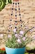 Red, White, and Blue Beaded Flower Pot Hanger