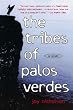 The Tribes of Palos Verdes: A Novel