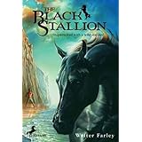 the black stallion