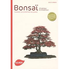 Bonsa� d'int�rieur et d'ext�rieur : Comment les entretenir facilement
