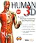Human 3D