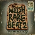 Welsh Rare Beat Vol.2