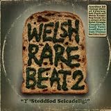 Welsh Rare Beat, Vol. 2