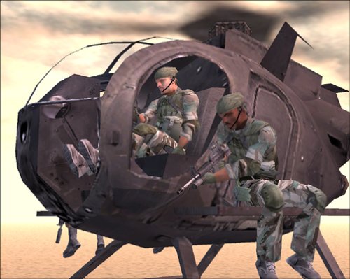 large image