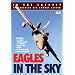 In the Cockpit: Eagles in the Sky