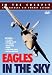 In the Cockpit: Eagles in the Sky