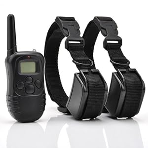 Hot Spot® Remote Control Dog Training Shock Collar for 2 Dogs with 100LV of Shock and Vibration, Rechargeable and Waterproof