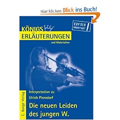 K�nigs Erl�uterungen und Materialien, Bd.304, Die neuen Leiden des jungen W.