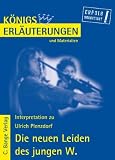 K�nigs Erl�uterungen und Materialien, Bd.304, Die neuen Leiden des jungen W.