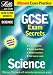 Books : Science (GCSE Exam Secrets)