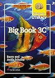 Focus on literacy. Big book 3C