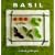Basil: A Book of Recipes (The Little Recipe Book Series)