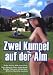 Zwei Kumpel auf der Alm