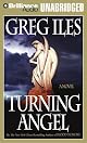 Turning Angel: A Novel
