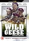 The Wild Geese...