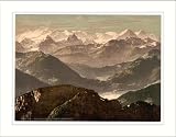 \"Bernese