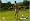 Tiger Woods PGA Tour 09 All-Play