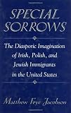 Special Sorrows: The Diasporic Imagination of Irish, Polish, and Jewish Immigrants in the United States